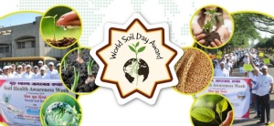 <strong>Read more about</strong><br />King Bhumibol World Soil Day Award: Call for application by 10 September 2021 King Bhumibol World Soil Day Award: Call for application by 10 September 2021